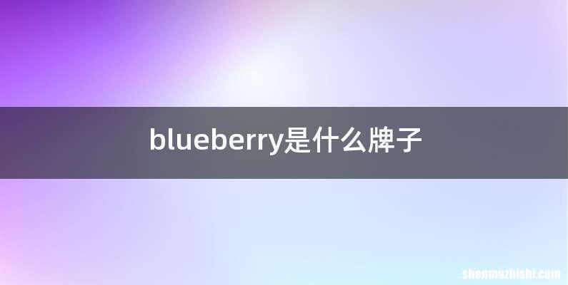 blueberry是什么牌子