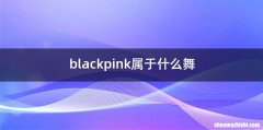 blackpink属于什么舞