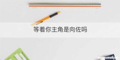 等着你主角是向佐吗