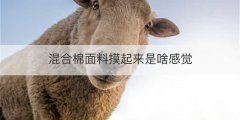 混合棉面料摸起来是啥感觉