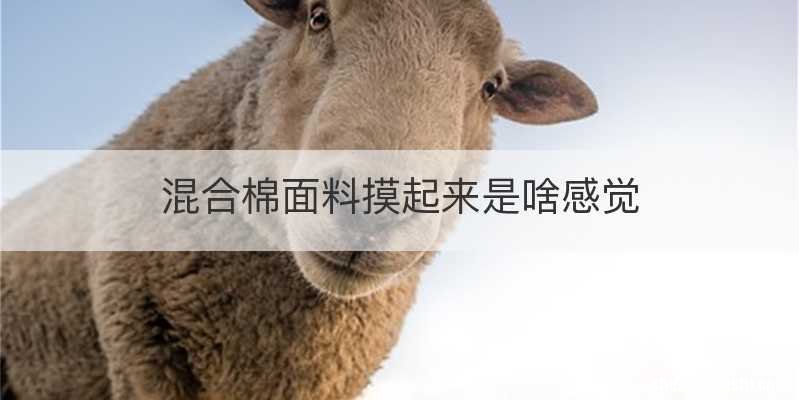 混合棉面料摸起来是啥感觉