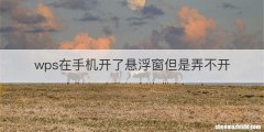 wps在手机开了悬浮窗但是弄不开