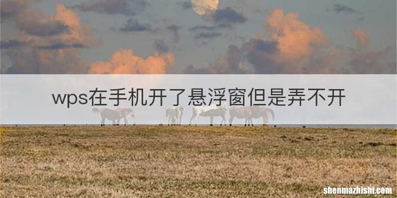 wps在手机开了悬浮窗但是弄不开