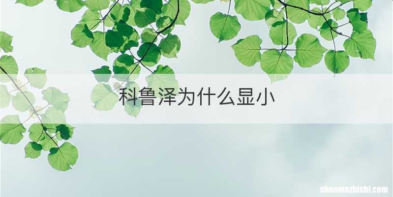 科鲁泽为什么显小