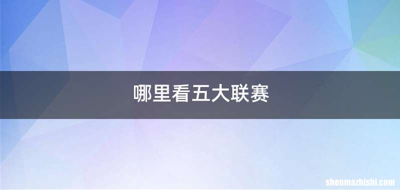 哪里看五大联赛