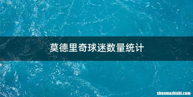 莫德里奇球迷数量统计