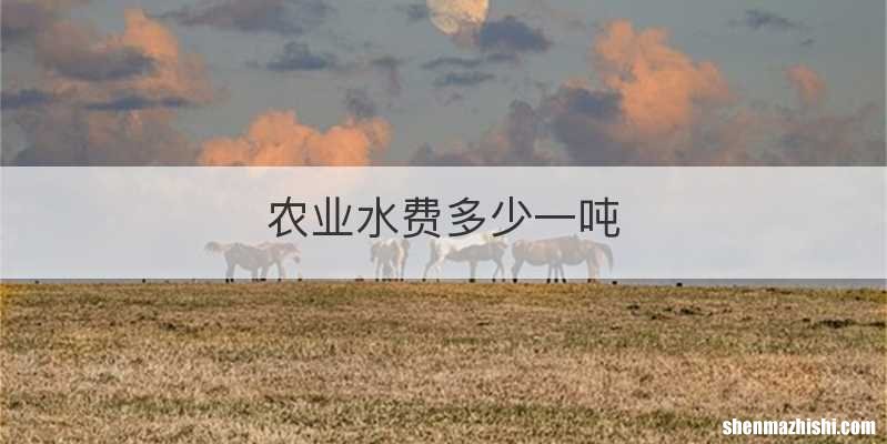 农业水费多少一吨