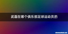 武磊在哪个俱乐部足球运动员的