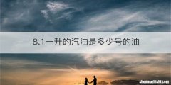 8.1一升的汽油是多少号的油