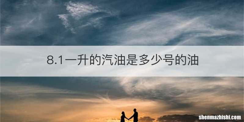 8.1一升的汽油是多少号的油