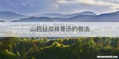 山药丝瓜排骨汤的做法