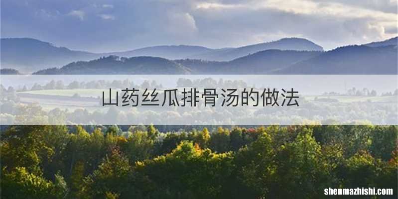 山药丝瓜排骨汤的做法