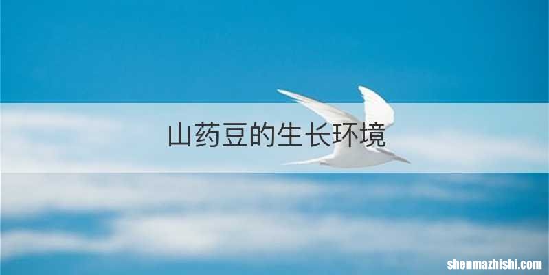 山药豆的生长环境