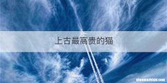 上古最高贵的猫