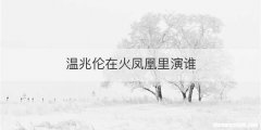 温兆伦在火凤凰里演谁