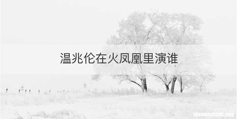 温兆伦在火凤凰里演谁