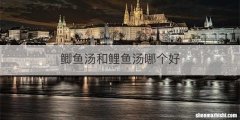 鲫鱼汤和鲤鱼汤哪个好