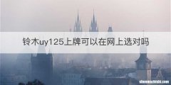 铃木uy125上牌可以在网上选对吗