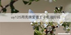 uy125用壳牌爱德王子机油好吗