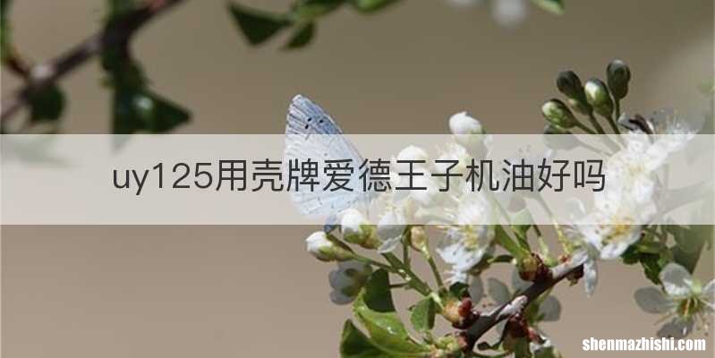 uy125用壳牌爱德王子机油好吗