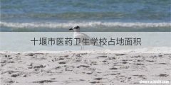 十堰市医药卫生学校占地面积