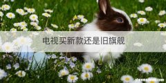 电视买新款还是旧旗舰