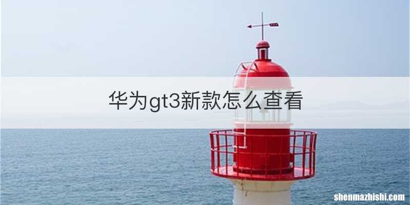 华为gt3新款怎么查看