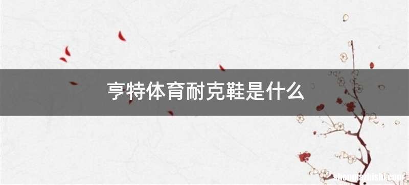 亨特体育耐克鞋是什么