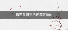 梅西是耐克的还是阿迪的