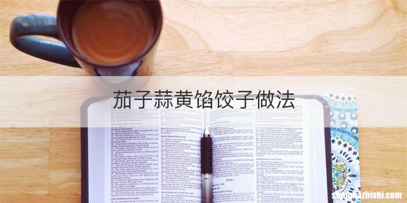 茄子蒜黄馅饺子做法
