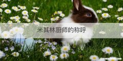 米其林厨师的称呼