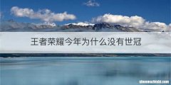 王者荣耀今年为什么没有世冠