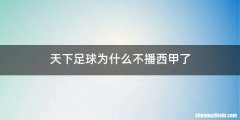 天下足球为什么不播西甲了