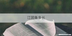江团鱼多长