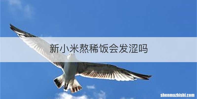 新小米熬稀饭会发涩吗