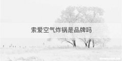 索爱空气炸锅是品牌吗