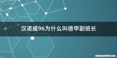 汉诺威96为什么叫德甲副班长
