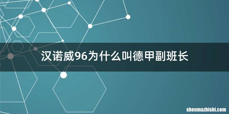 汉诺威96为什么叫德甲副班长