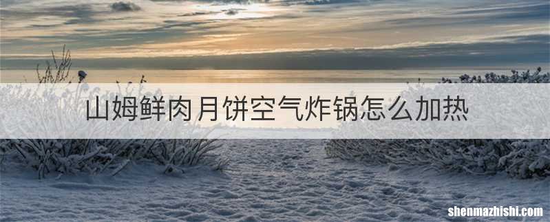 山姆鲜肉月饼空气炸锅怎么加热