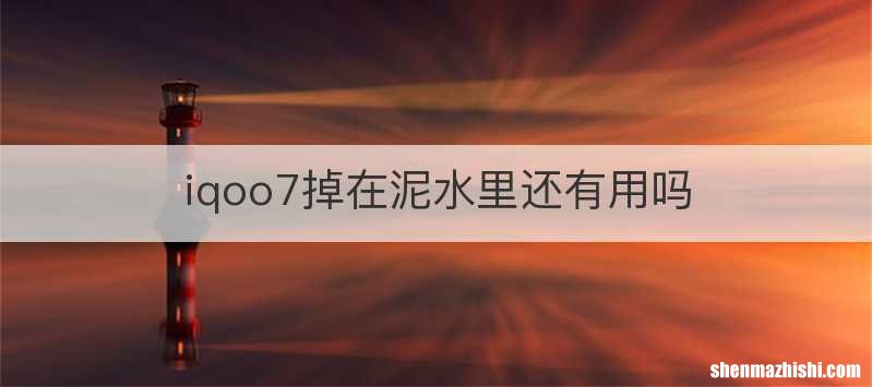 iqoo7掉在泥水里还有用吗