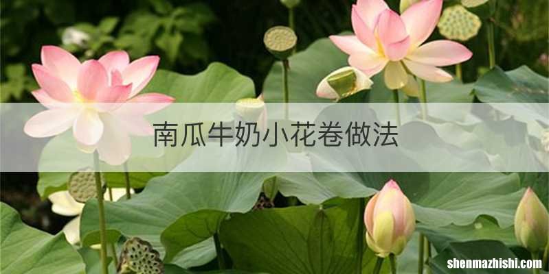 南瓜牛奶小花卷做法