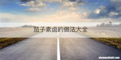 茄子素卤的做法大全