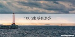 100g南瓜有多少
