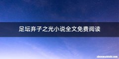 足坛弃子之光小说全文免费阅读