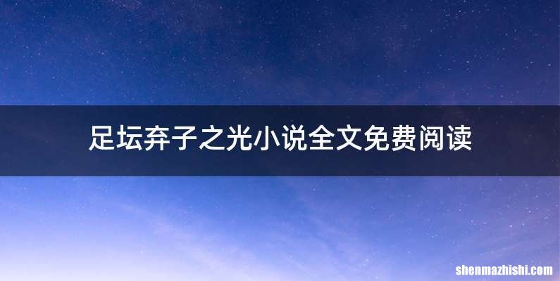 足坛弃子之光小说全文免费阅读