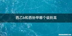 西乙b和西协甲哪个级别高
