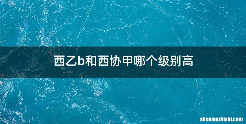 西乙b和西协甲哪个级别高