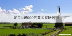足金js跟999的黄金有啥区别
