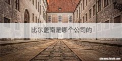 比尔盖南是哪个公司的