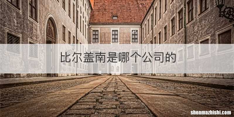 比尔盖南是哪个公司的